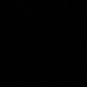 Meet your Posher, Mady